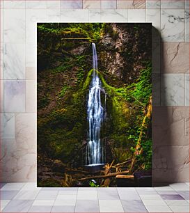 Πίνακας, Serene Waterfall in Nature Γαλήνιος καταρράκτης στη φύση