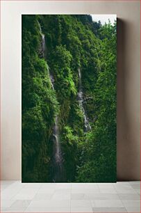 Πίνακας, Serene Waterfalls in a Lush Forest Γαλήνιοι καταρράκτες σε ένα καταπράσινο δάσος