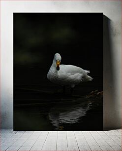 Πίνακας, Serene White Bird Γαλήνιο λευκό πουλί