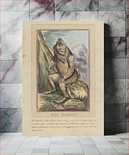 Πίνακας, Set of eight with title-page. 'Foreign and Domestick Animals.' 2. The Lion