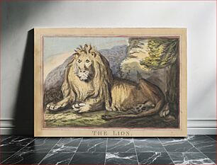 Πίνακας, Set of eight with title-page. 'Foreign and Domestick Animals.' 3. The Lioness