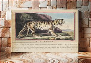 Πίνακας, Set of eight with title-page. 'Foreign and Domestick Animals.' 5. The Wolf
