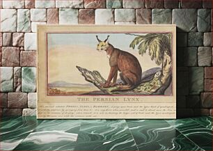 Πίνακας, Set of eight with title-page. 'Foreign and Domestick Animals.' 7. The Persian Lynx