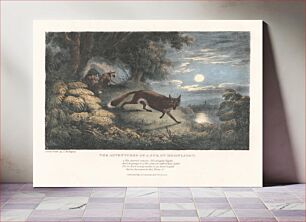 Πίνακας, Set of six with printed wrapper, Plate 1: The Adventures of a Fox by Moonlight
