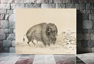 Πίνακας, Severely Wounded Buffalo--no. 16 by George Catlin