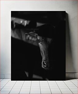 Πίνακας, Shadowed Cow Σκιασμένη αγελάδα