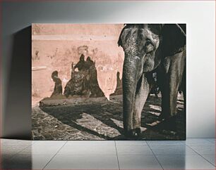 Πίνακας, Shadowed Elephant Σκιασμένος ελέφαντας