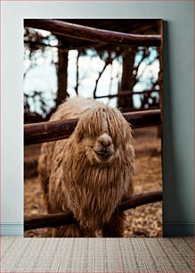 Πίνακας, Shaggy Llama Shaggy Llama