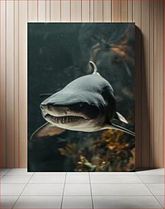 Πίνακας, Shark in the Deep Sea Καρχαρίας στη βαθιά θάλασσα