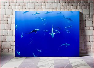 Πίνακας, Sharks in the Deep Blue Καρχαρίες στο βαθύ μπλε