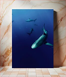 Πίνακας, Sharks in the Deep Sea Καρχαρίες στη βαθιά θάλασσα