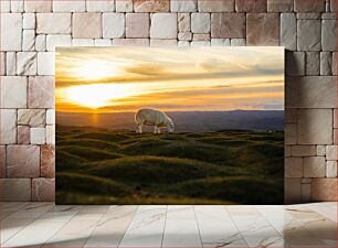 Πίνακας, Sheep at Sunset Πρόβατα στο ηλιοβασίλεμα