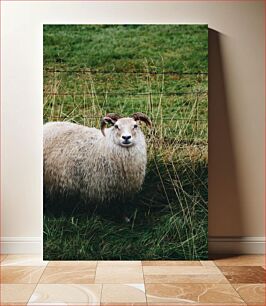 Πίνακας, Sheep by the Fence Sheep by the Fence