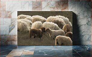 Πίνακας, Sheep Grazing in a Field Πρόβατα που βόσκουν σε χωράφι