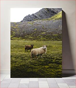 Πίνακας, Sheep Grazing in a Mossy Landscape Πρόβατα που βόσκουν σε ένα τοπίο με βρύα