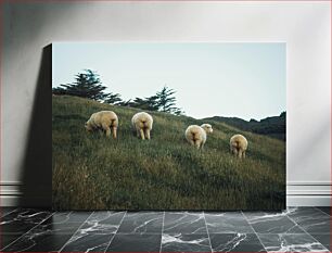 Πίνακας, Sheep Grazing on a Hill Πρόβατα που βόσκουν σε ένα λόφο