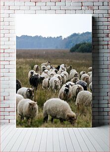 Πίνακας, Sheep Herd in the Field Κοπάδι προβάτων στο χωράφι