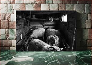 Πίνακας, Sheep in a Barn Πρόβατα σε αχυρώνα
