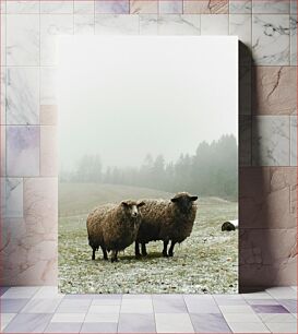 Πίνακας, Sheep in a Foggy Field Πρόβατα σε ομιχλώδες χωράφι