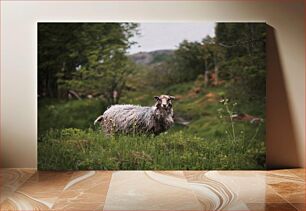 Πίνακας, Sheep in a Green Field Πρόβατα σε ένα πράσινο χωράφι