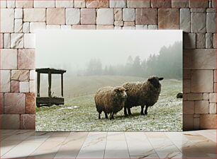 Πίνακας, Sheep in a Misty Field Πρόβατα σε ένα ομιχλώδες χωράφι