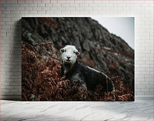 Πίνακας, Sheep in a Natural Habitat Πρόβατα σε φυσικό βιότοπο