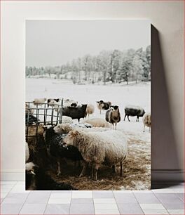 Πίνακας, Sheep in a Winter Field Πρόβατα σε χειμερινό χωράφι