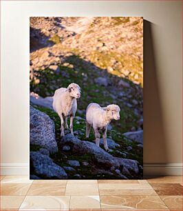 Πίνακας, Sheep in Rocky Terrain Πρόβατα σε Βραχώδη Έδαφος