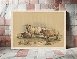 Πίνακας, Sheep, No. 18
