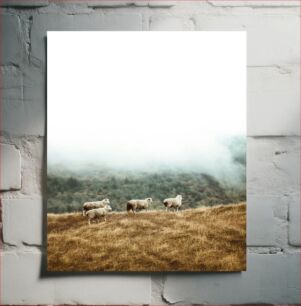 Πίνακας, Sheep on a Foggy Hill Πρόβατα σε έναν ομιχλώδη λόφο