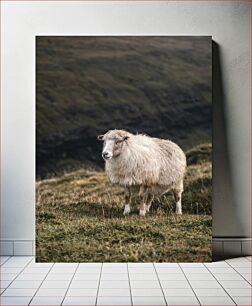 Πίνακας, Sheep on a Hillside Πρόβατα σε μια πλαγιά