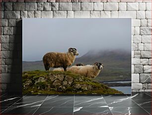 Πίνακας, Sheep on a Rocky Hill Πρόβατα σε βραχώδη λόφο