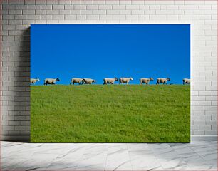 Πίνακας, Sheep Walking on Hill Πρόβατα που περπατούν στο λόφο