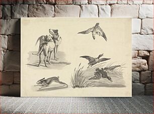 Πίνακας, Sheet of Studies of Hounds, Hare, Falcon and Ducks