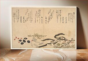 Πίνακας, Shells under Water by Utamaro Kitagawa (1754–1806)