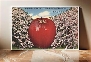 Πίνακας, Shenandoah Valley, land of luscious apples, VA