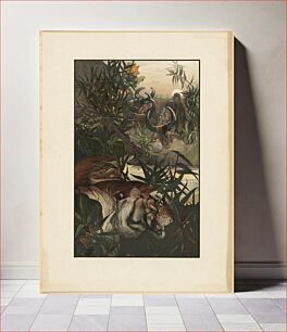 Πίνακας, Shere Khan in jungle