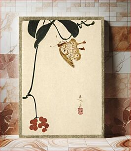 Πίνακας, Shibata Zeshin's Red Berry Plant and Butterfly (1807-1891)