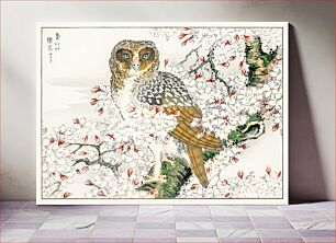 Πίνακας, Short-eared Owl and Cherry Flower illustration. Pictorial Monograph of Birds (1885) by Numata Kashu (1838-1901)