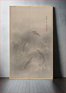 Πίνακας, Shrimp (Ebi) by Seki Shūkō