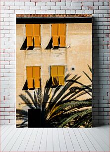 Πίνακας, Shuttered Windows with Palm Shadows Κλειστά παράθυρα με σκιές παλάμης