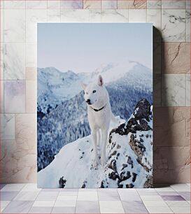 Πίνακας, Siberian Husky in Snowy Mountains Σιβηρικός χάσκι στα χιονισμένα βουνά