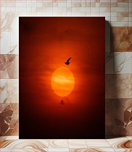 Πίνακας, Silhouette of a Bird at Sunset Σιλουέτα ενός πουλιού στο ηλιοβασίλεμα