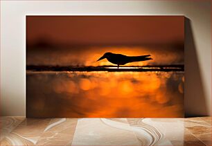 Πίνακας, Silhouette of a Bird at Sunset Σιλουέτα ενός πουλιού στο ηλιοβασίλεμα