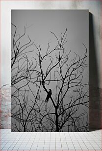 Πίνακας, Silhouette of a Bird in a Tree Σιλουέτα ενός πουλιού σε ένα δέντρο
