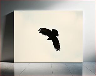 Πίνακας, Silhouette of a Bird in Flight Σιλουέτα ενός πουλιού σε πτήση