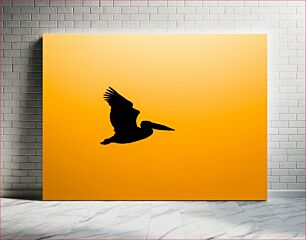 Πίνακας, Silhouette of a Bird in Flight Σιλουέτα ενός πουλιού σε πτήση