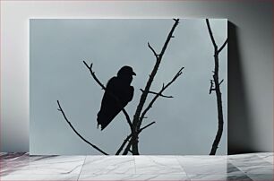 Πίνακας, Silhouette of a Bird on a Tree Σιλουέτα ενός πουλιού σε ένα δέντρο