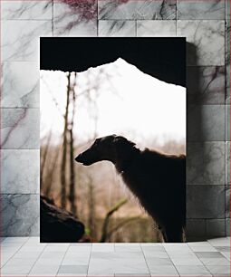 Πίνακας, Silhouette of a Dog in the Woods Σιλουέτα ενός σκύλου στο δάσος