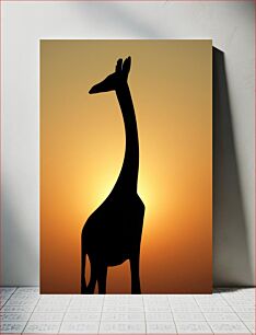 Πίνακας, Silhouette of a Giraffe at Sunset Σιλουέτα μιας καμηλοπάρδαλης στο ηλιοβασίλεμα